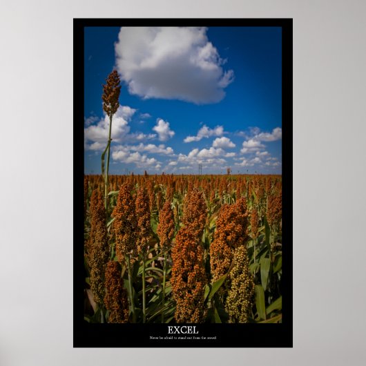 Excel Poster (Voorkant)