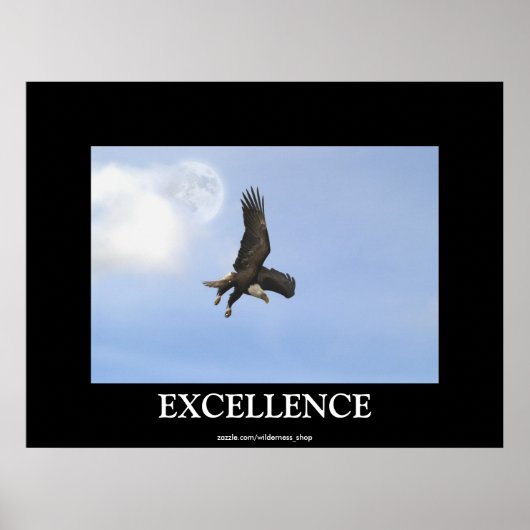 Excellentie Bald Eagle Motivatie Poster (Voorkant)