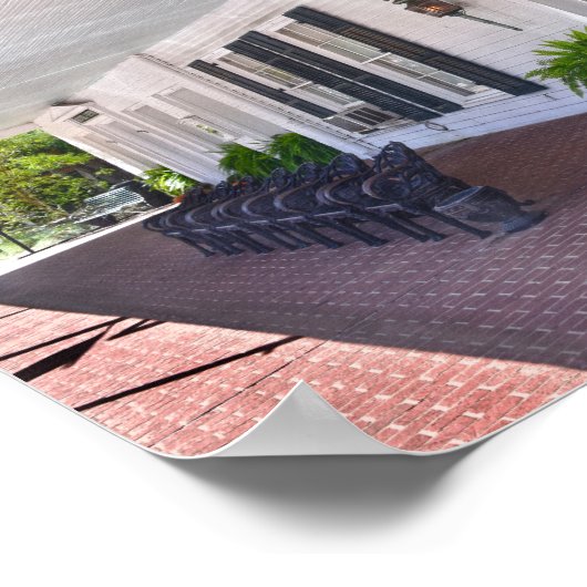 Excelsior House, Jefferson, Texas Poster (Hoek)