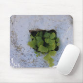 Exclusieve Mousepad - Wall 044 Muismat (Met muis)