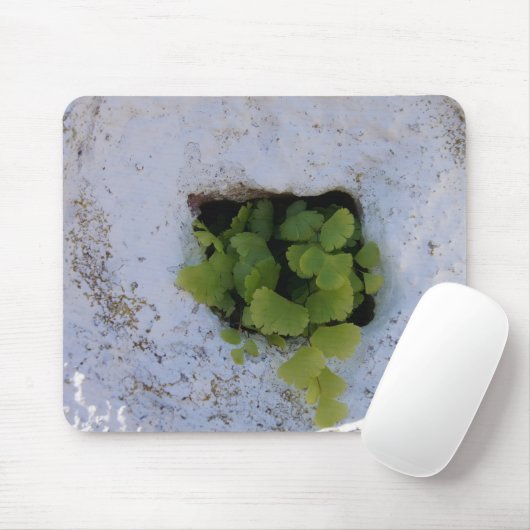 Exclusieve Mousepad - Wall 044 Muismat (Met muis)