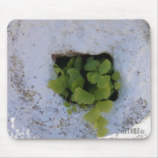 Exclusieve Mousepad - Wall 044 Muismat