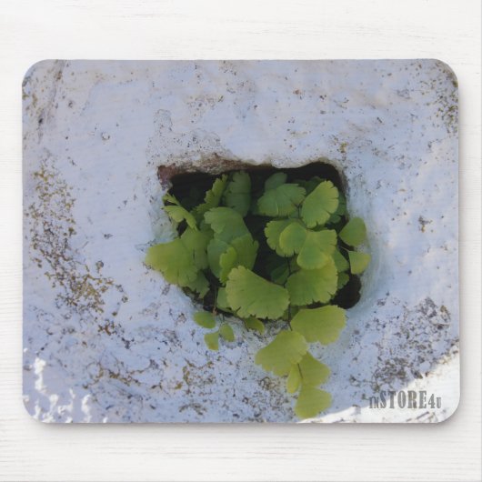 Exclusieve Mousepad - Wall 044 Muismat (Voorkant)