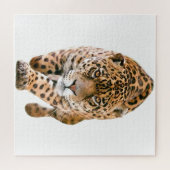 Exclusieve speciale jaguar-ogen legpuzzel (Horizontaal)