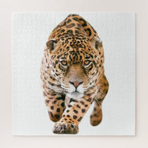 Exclusieve speciale jaguar-ogen legpuzzel