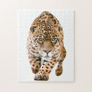 Exclusieve speciale jaguar-ogen legpuzzel