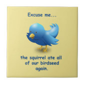 Excuseer me....de eekhoorn at al ons vogelzaad op tegeltje (Voorkant)