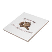 Excuseer me...je geboorte is leeg tegeltje (Zijkant)