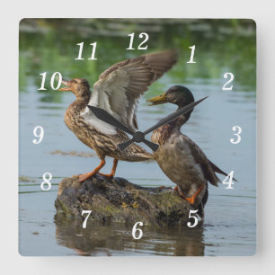 Excuseer me wandklok