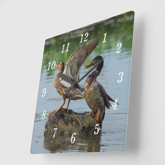 Excuseer me wandklok (Hoek)