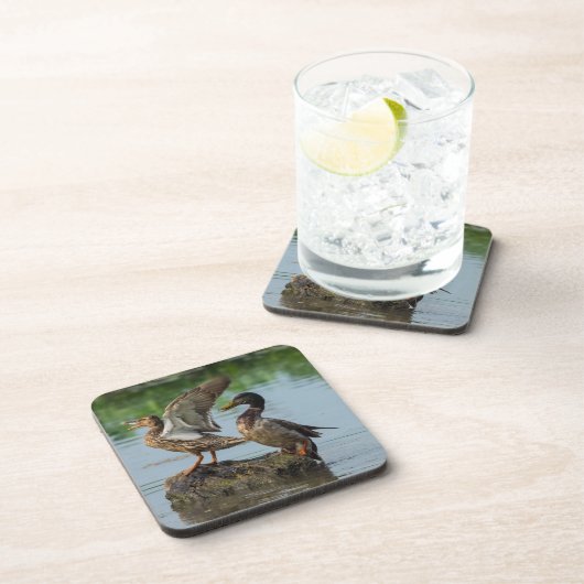 Excuseer mij bier onderzetter (Rechterzijde)