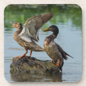 Excuseer mij bier onderzetter (Voorkant)