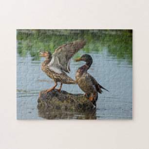 Excuseer mij legpuzzel