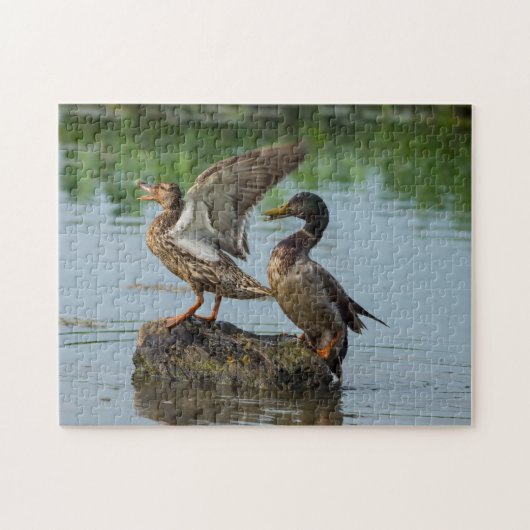 Excuseer mij legpuzzel (Horizontaal)