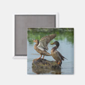 Excuseer mij magneet (Voorkant / Achterkant)