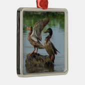 Excuseer mij metalen ornament (Rechts)