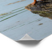 Excuseer mij poster (Hoek)