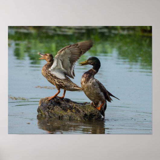 Excuseer mij poster (Voorkant)