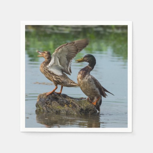 Excuseer mij servet (Voorkant)