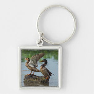 Excuseer mij sleutelhanger