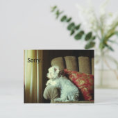 Excuses card~wanneer 'sorry' het zegt. briefkaart (Staand voorkant)