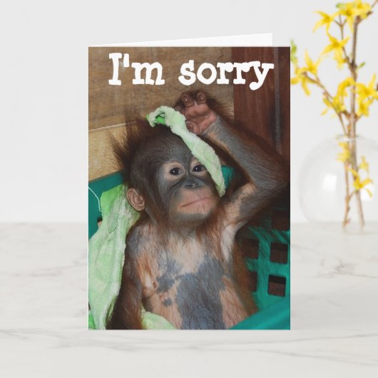 Excuses dat het me spijt kaart (Gele Bloem)