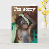 Excuses dat het me spijt kaart (Gele Bloem)