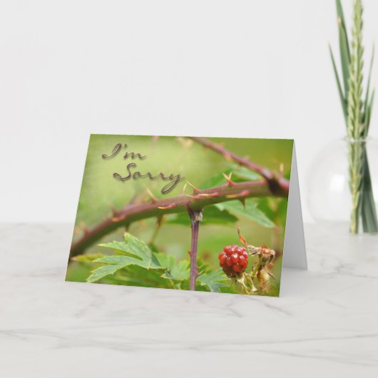 Excuses kaart Sorry voor het zijn stekelig (Voorkant)