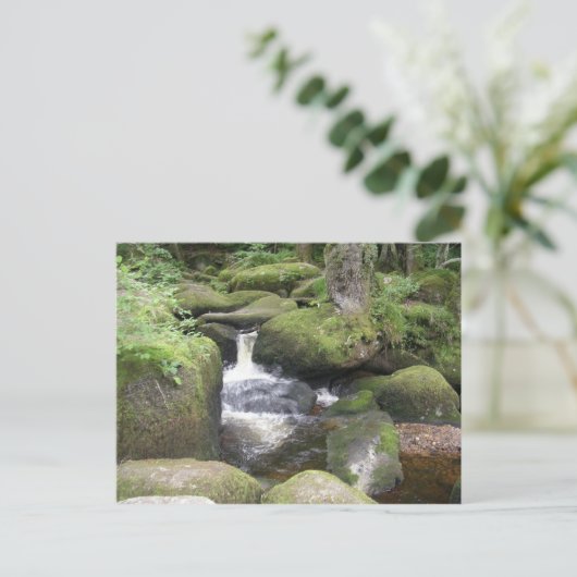 exeter 2009 105 briefkaart (Staand voorkant)