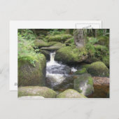 exeter 2009 105 briefkaart (Voorkant / Achterkant)