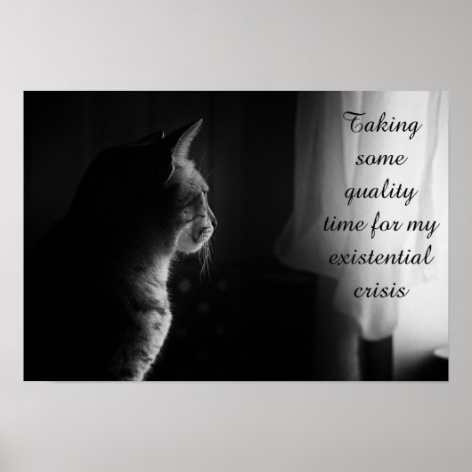 Existentiële crisis Funny Cat Poster (Voorkant)