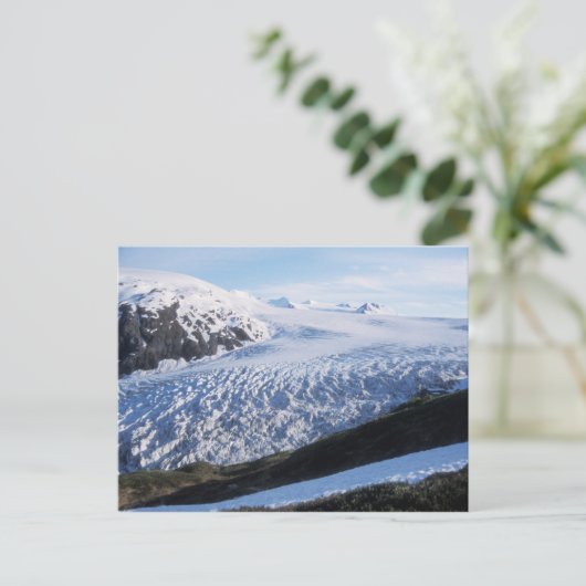 Exit Glacier in Kenai Fjords National Park Briefkaart (Staand voorkant)