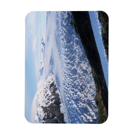 Exit Glacier in Kenai Fjords National Park Magneet (Verticaal)