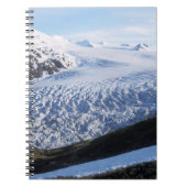 Exit Glacier in Kenai Fjords National Park Notitieboek (Voorkant)