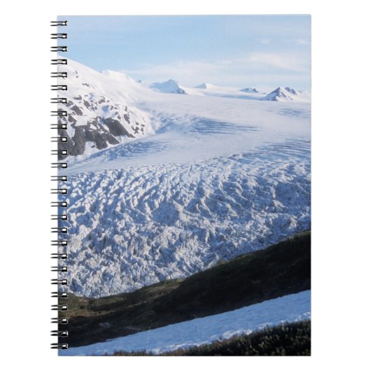 Exit Glacier in Kenai Fjords National Park Notitieboek (Voorkant)