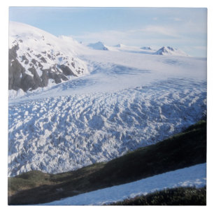 Exit Glacier in Kenai Fjords National Park Tegeltje