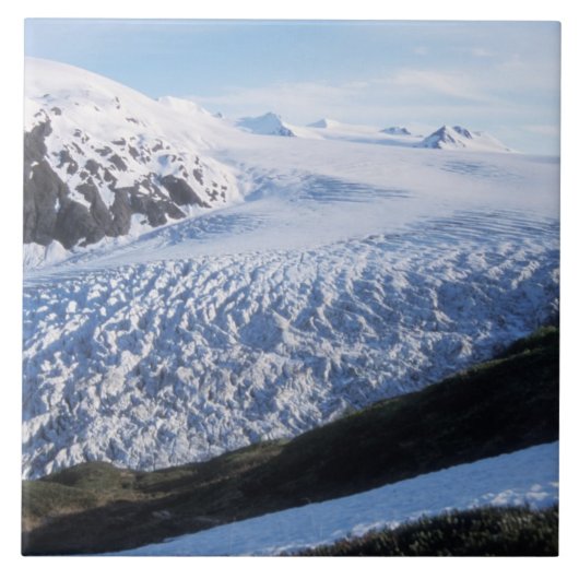 Exit Glacier in Kenai Fjords National Park Tegeltje (Voorkant)