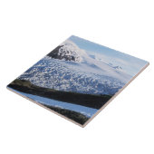 Exit Glacier in Kenai Fjords National Park Tegeltje (Zijkant)