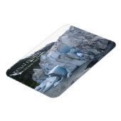 Exit Glacier Toe, Kenai Fjords National Park, AK Magneet (Linkerzijde)