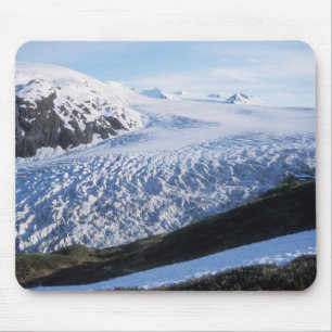 Exit-gletsjer in Kenai Fjords National Park, Muismat