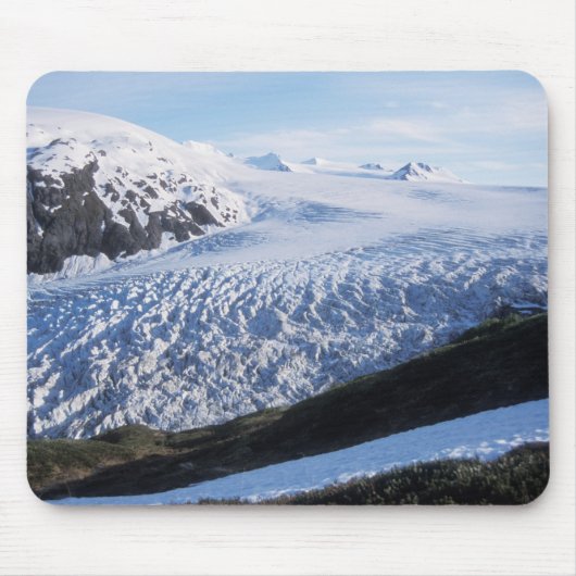 Exit-gletsjer in Kenai Fjords National Park, Muismat (Voorkant)