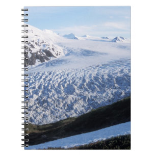 Exit-gletsjer in Kenai Fjords National Park, Notitieboek
