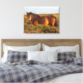 Exmoer pony, paard, Somerset, Engeland Canvas Afdruk (Insitu (Slaapkamer))