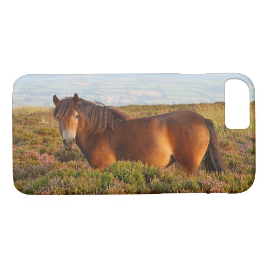Exmoer pony, paard, Somerset, Engeland Case-Mate iPhone Case (Achterkant (Horizontaal))