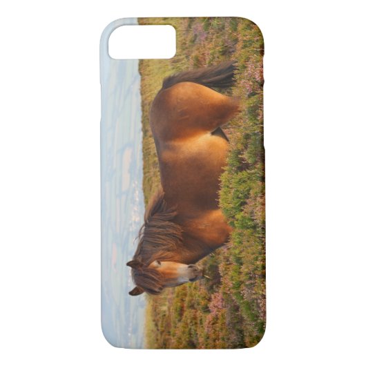 Exmoer pony, paard, Somerset, Engeland Case-Mate iPhone Case (Achterkant)
