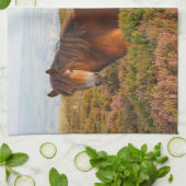 Exmoer pony, paard, Somerset, Engeland Theedoek (Gevouwen)