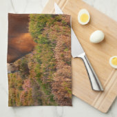 Exmoer pony, paard, Somerset, Engeland Theedoek (Quarter Fold)