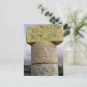 Exmoor Blue Cheese, Lydeard St Lawrence, Somerset Briefkaart (Staand voorkant)