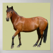 Exmoor Horse Poster (Voorkant)
