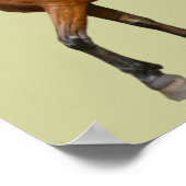 Exmoor Horse Poster (Hoek)